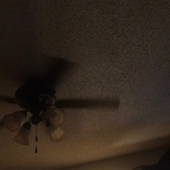 Meet your Posher, Craig - Picture 1 of 1